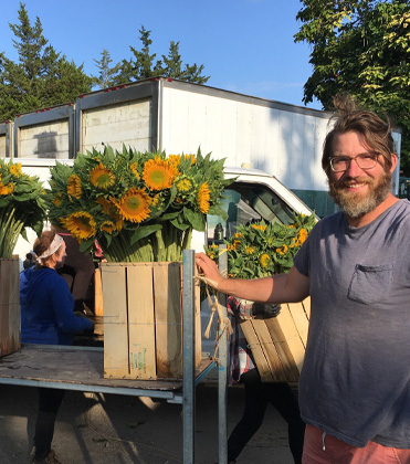 Sunflowers: Insects Like Them Too!